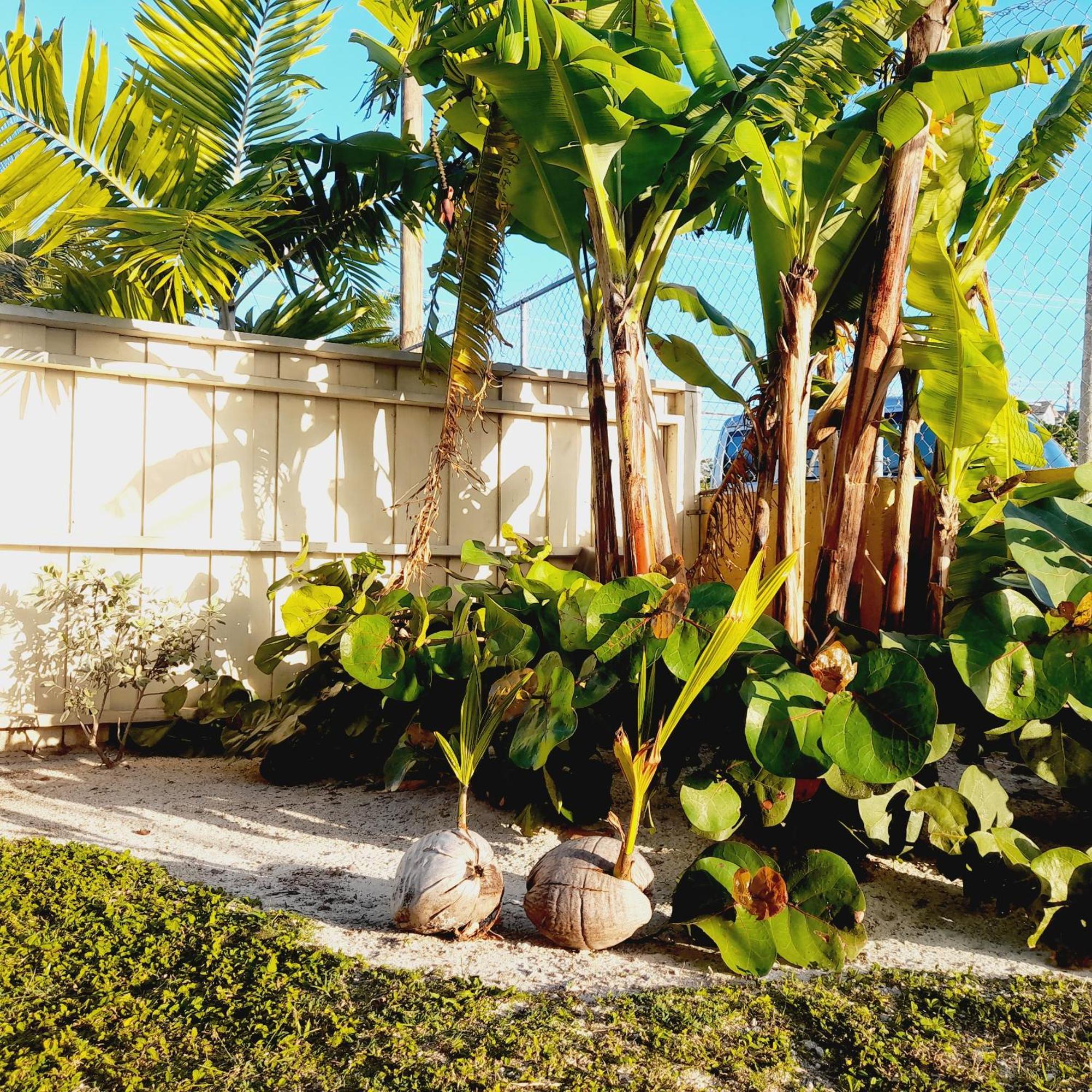 Villa By The Bay Nassau Exterior foto